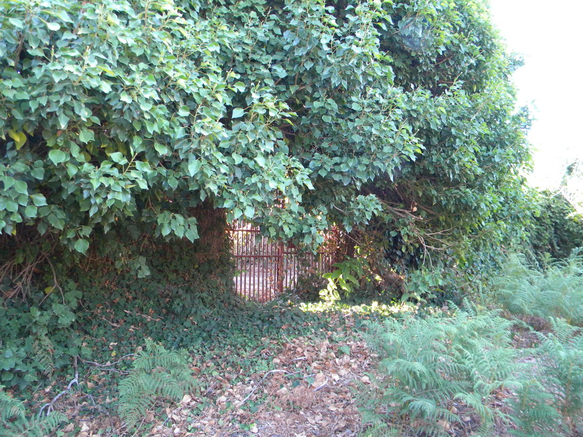 DSCN8147 .JPG